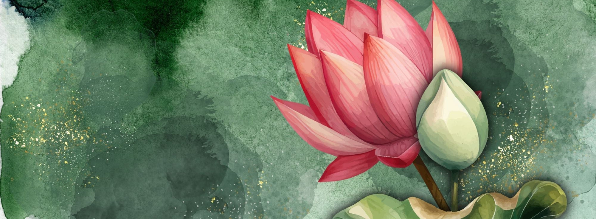 Artistic illustration of a pink lotus flower on a watercolor background