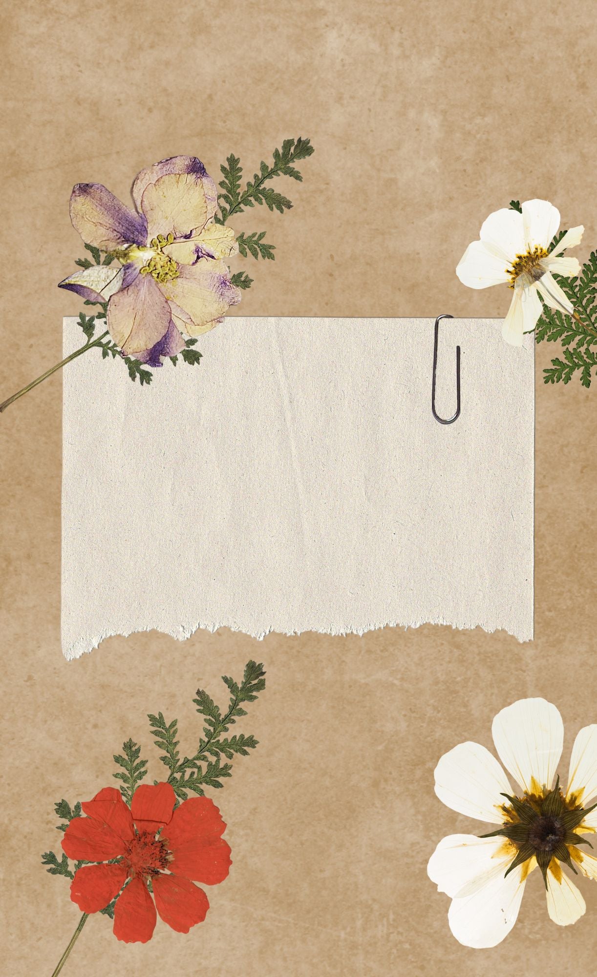 Notepads (Set of 25)