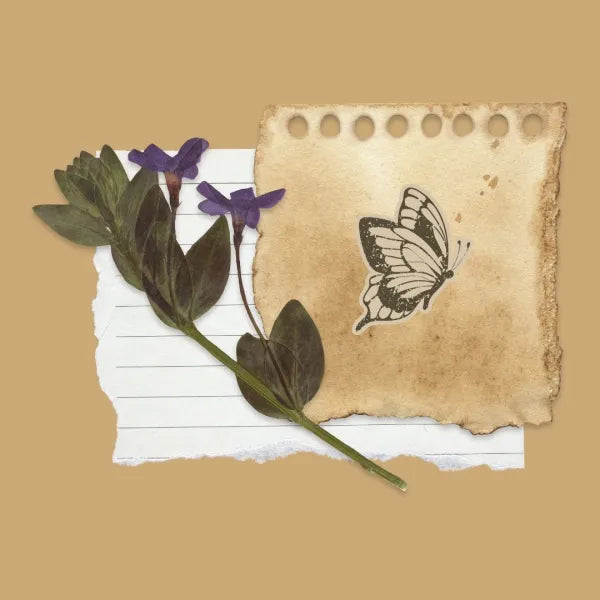 Greeting Card