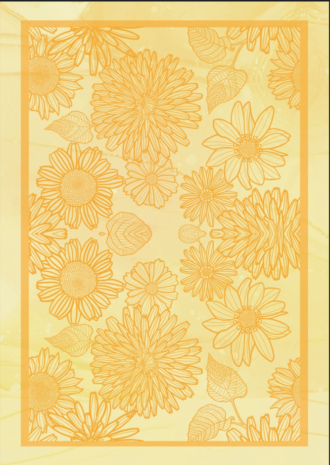 Blankets (Set of 10)